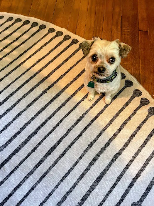 All-Pets Hospital Picture 7