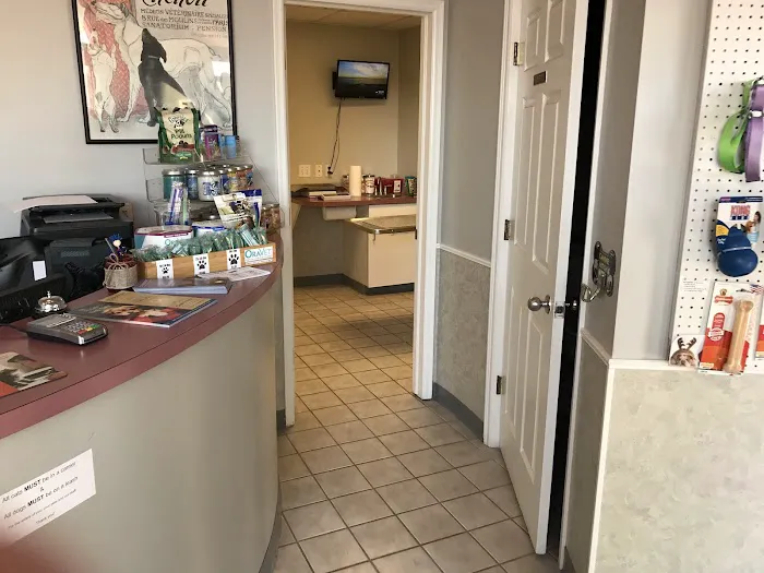 All-Pets Hospital Picture 6