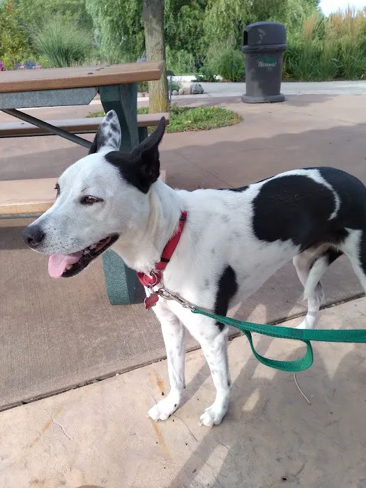 All-Pets Hospital Picture 5