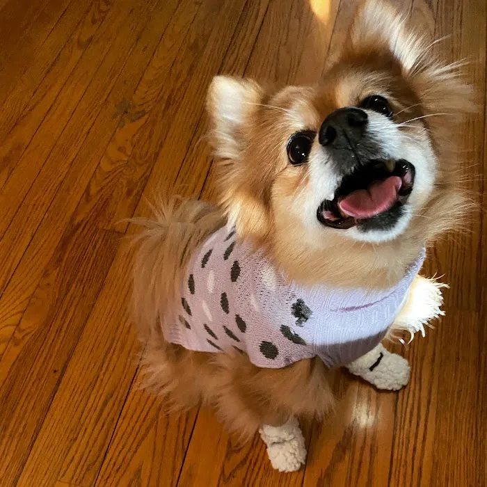 All-Pets Hospital Picture 9