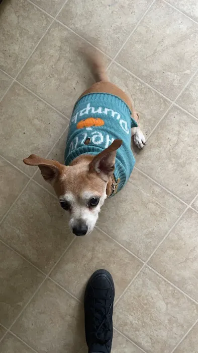 Afford-A-Care Pet Hospital Picture 4