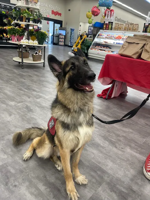 Afford-A-Care Pet Hospital Picture 5