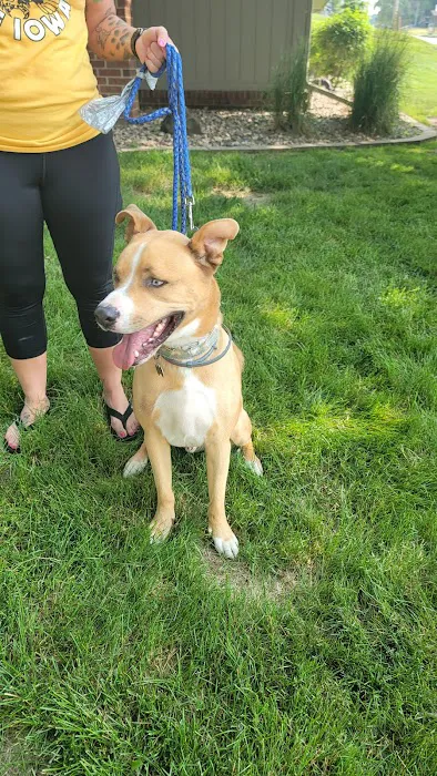 Mac Rae Park Animal Hospital Picture 2