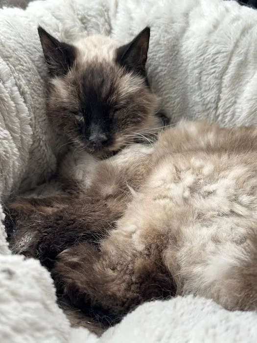 Mac Rae Park Animal Hospital Picture 3