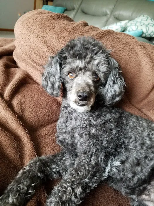 Mac Rae Park Animal Hospital Picture 1