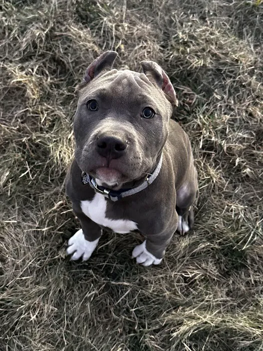 Mac Rae Park Animal Hospital Picture 7