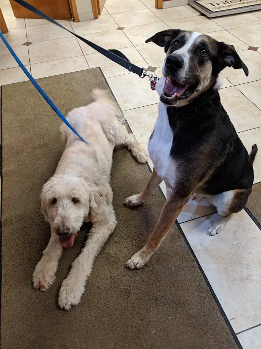 Mac Rae Park Animal Hospital Picture 9