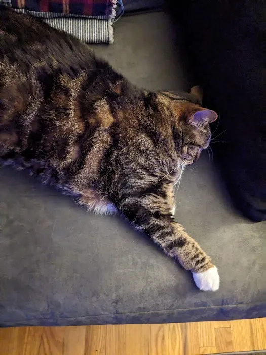 Mac Rae Park Animal Hospital Picture 8