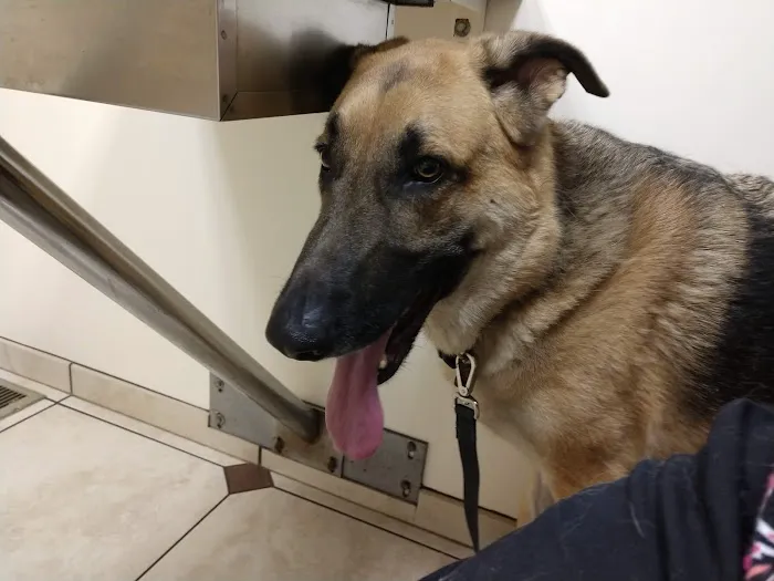 Mac Rae Park Animal Hospital Picture 10