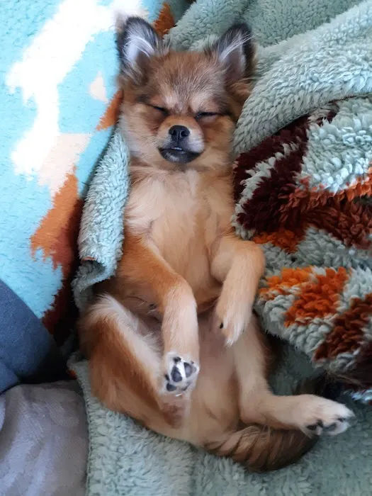 Oaks Veterinary Clinic Picture 2