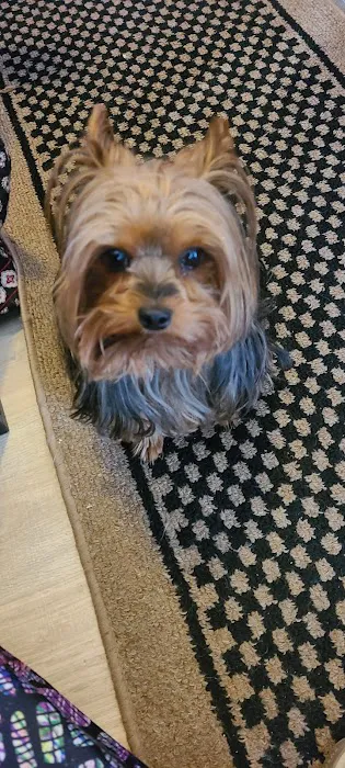 Oaks Veterinary Clinic Picture 1