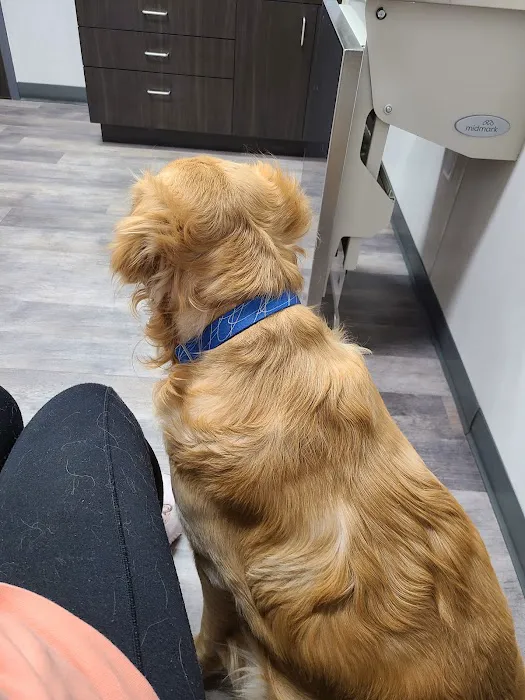 Carlisle Veterinary Clinic Picture 2