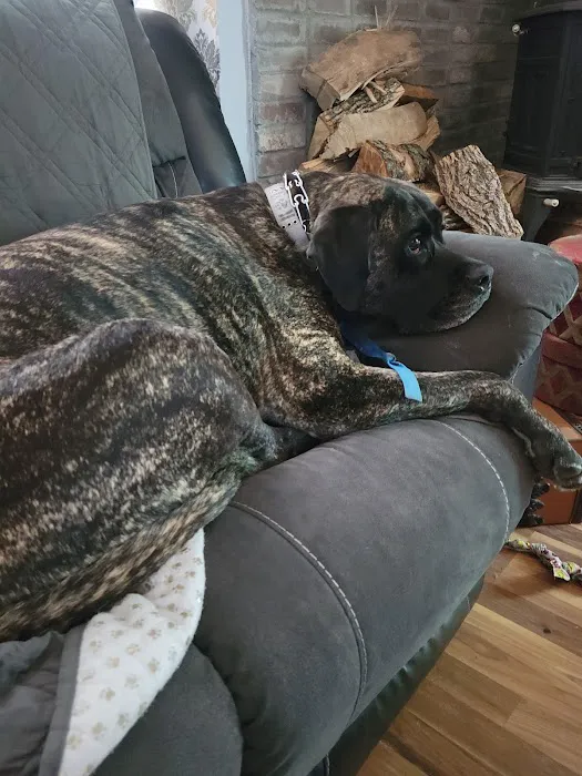 Carlisle Veterinary Clinic Picture 3