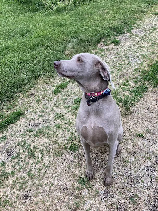 Carlisle Veterinary Clinic Picture 8