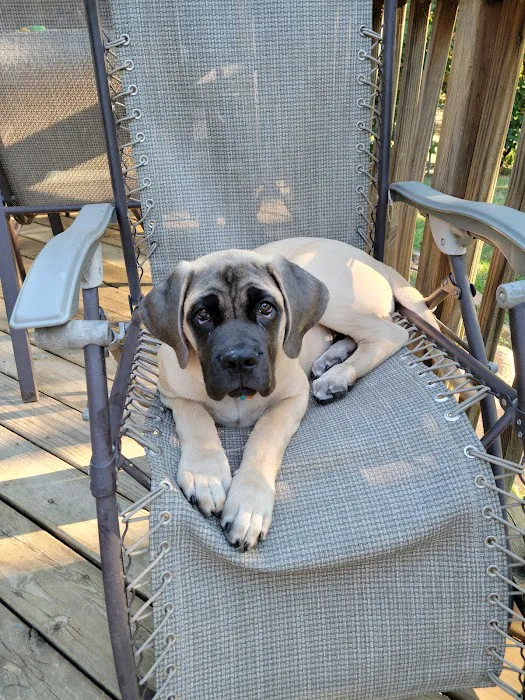 Carlisle Veterinary Clinic Picture 7