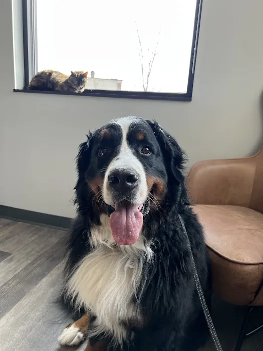 Carlisle Veterinary Clinic Picture 10