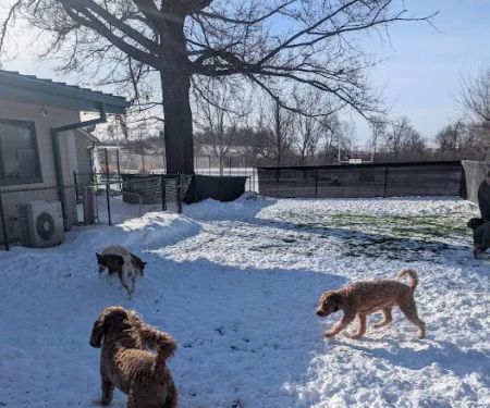 VCA Avondale Veterinary Hospital