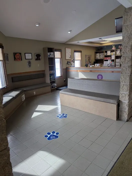 VCA Avondale Veterinary Hospital Picture 4