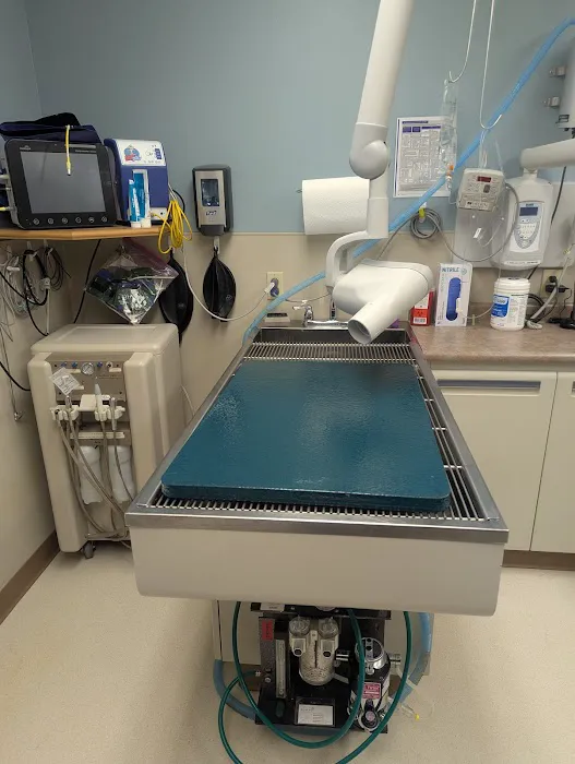 VCA Avondale Veterinary Hospital Picture 9