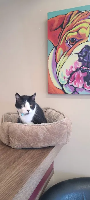 South Des Moines Veterinary Center Picture 3