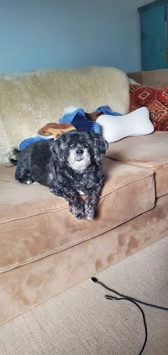 Fleur Pet Hospital Picture 6