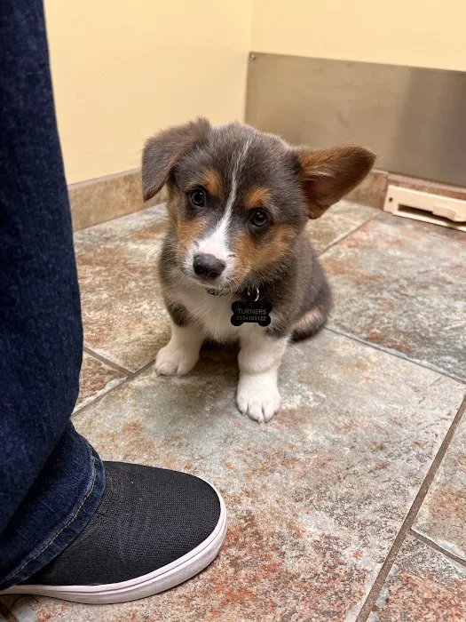 Fleur Pet Hospital Picture 5