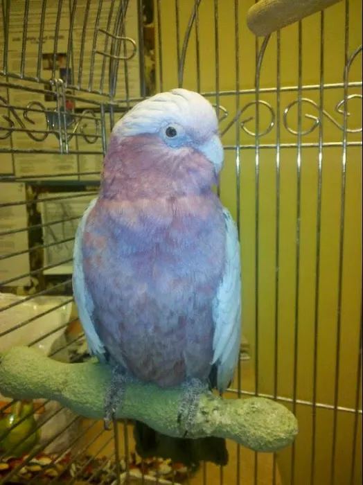 Fleur Pet Hospital Picture 10