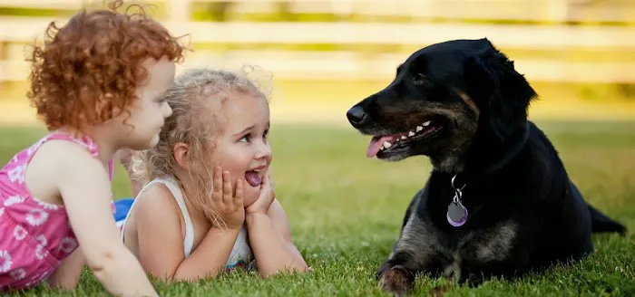 Fleur Pet Hospital Picture 8