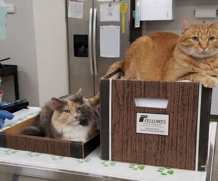 Indianola Veterinary Clinic