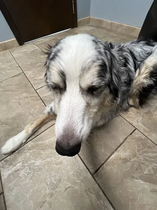 Indianola Veterinary Clinic Picture 2