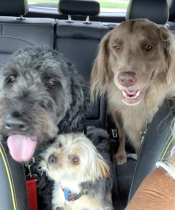 Indianola Veterinary Clinic Picture 4