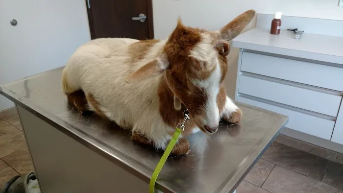 Indianola Veterinary Clinic Picture 3