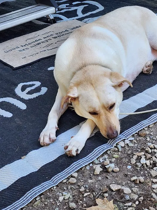 Indianola Veterinary Clinic Picture 7