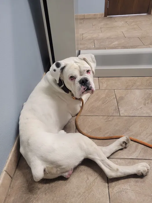 Indianola Veterinary Clinic Picture 10