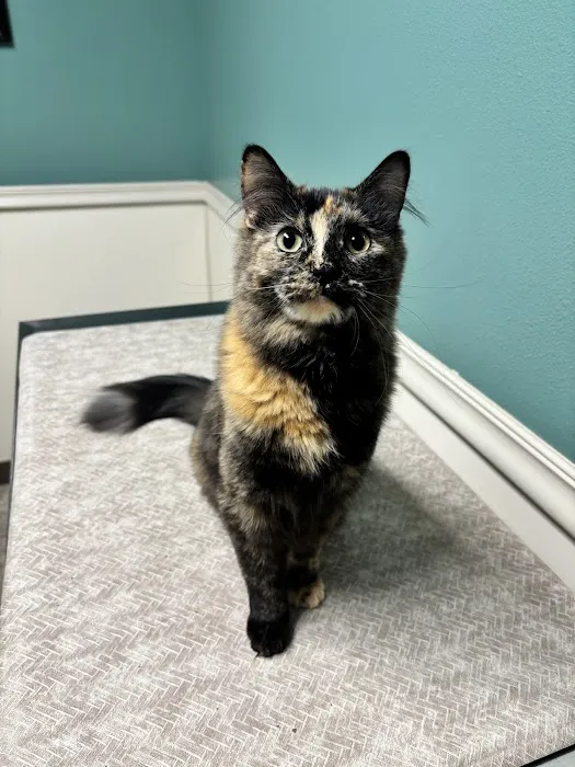 Sullivan Family Pet Hospital Picture 2