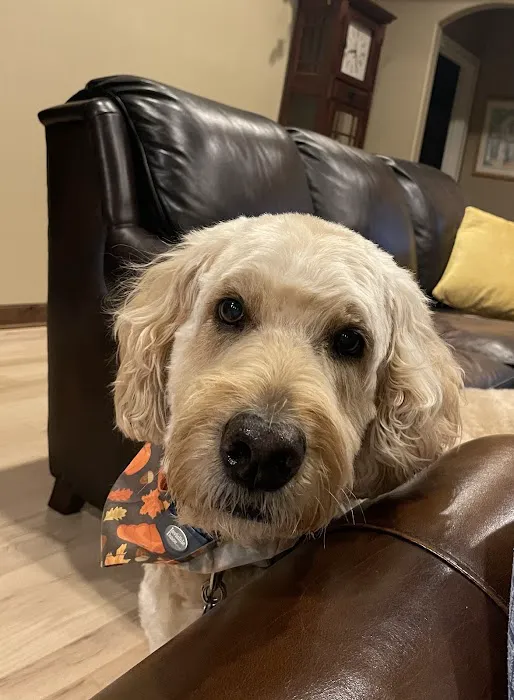 Sullivan Family Pet Hospital Picture 5