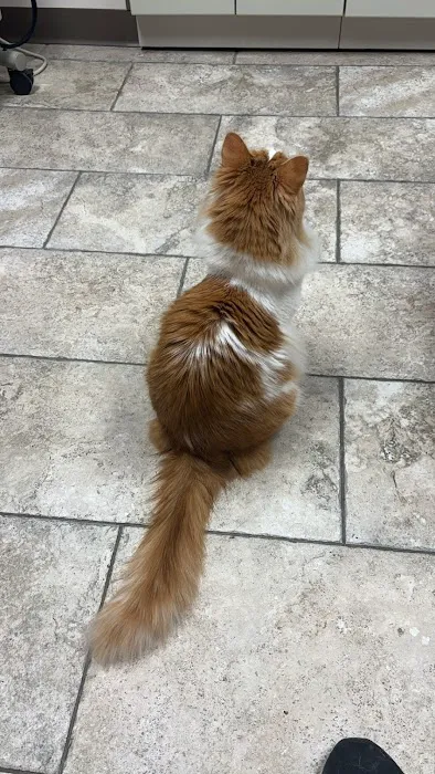 Sullivan Family Pet Hospital Picture 1