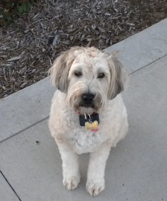 Sullivan Family Pet Hospital Picture 4