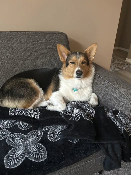 Sullivan Family Pet Hospital Picture 8