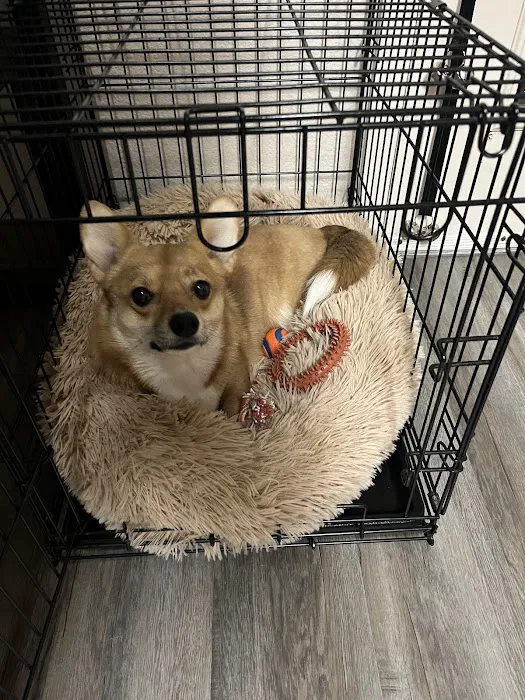 Sullivan Family Pet Hospital Picture 6