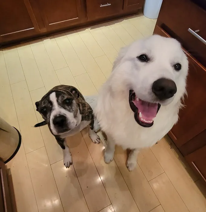 Sullivan Family Pet Hospital Picture 7