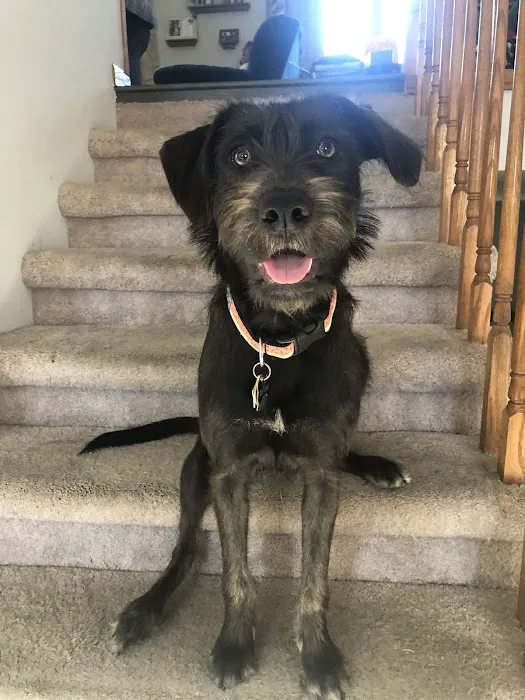 Sullivan Family Pet Hospital Picture 10