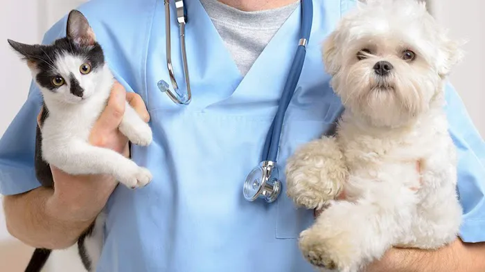 Rush Animal Care Clinic P.C. Picture 4