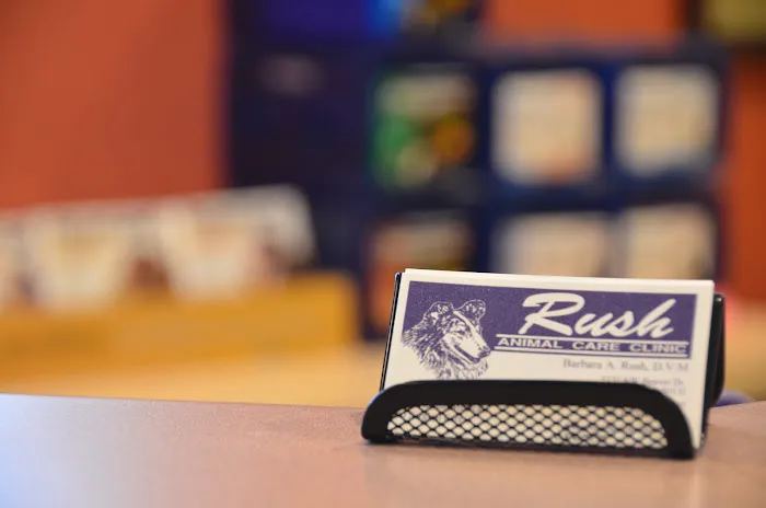 Rush Animal Care Clinic P.C. Picture 2