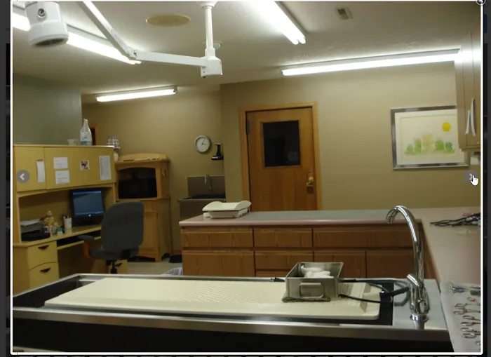 Rush Animal Care Clinic P.C. Picture 10