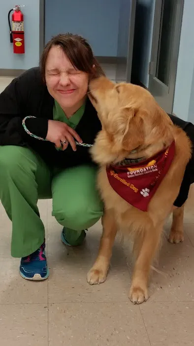 Village Veterinary Hospital Picture 6