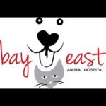 Bay East Animal Hospital: Cheryl Skaletski DVM