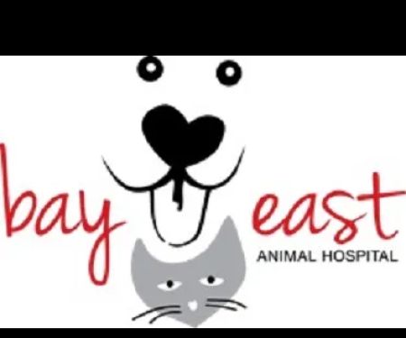 Bay East Animal Hospital: Cheryl Skaletski DVM