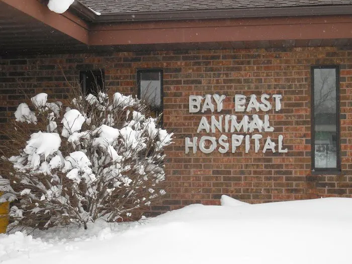 Bay East Animal Hospital Picture 1