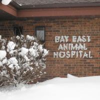 Bay East Animal Hospital ico